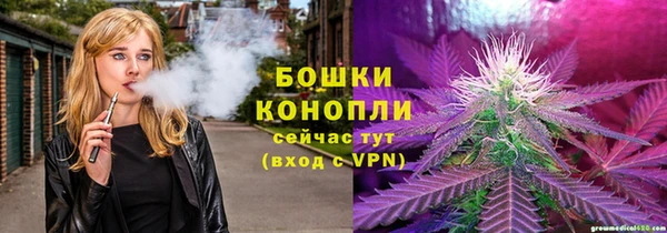 ПСИЛОЦИБИНОВЫЕ ГРИБЫ Алексин