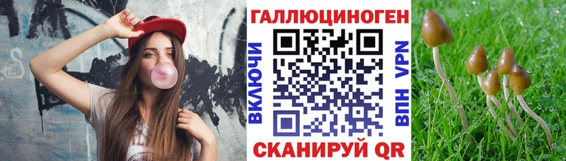 Псилоцибиновые грибы MAGIC MUSHROOMS  Северская 